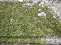 Sutton Benger - photo: 00132